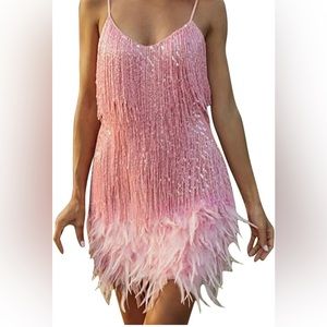 Pink Fringe 20s Flapper Dress